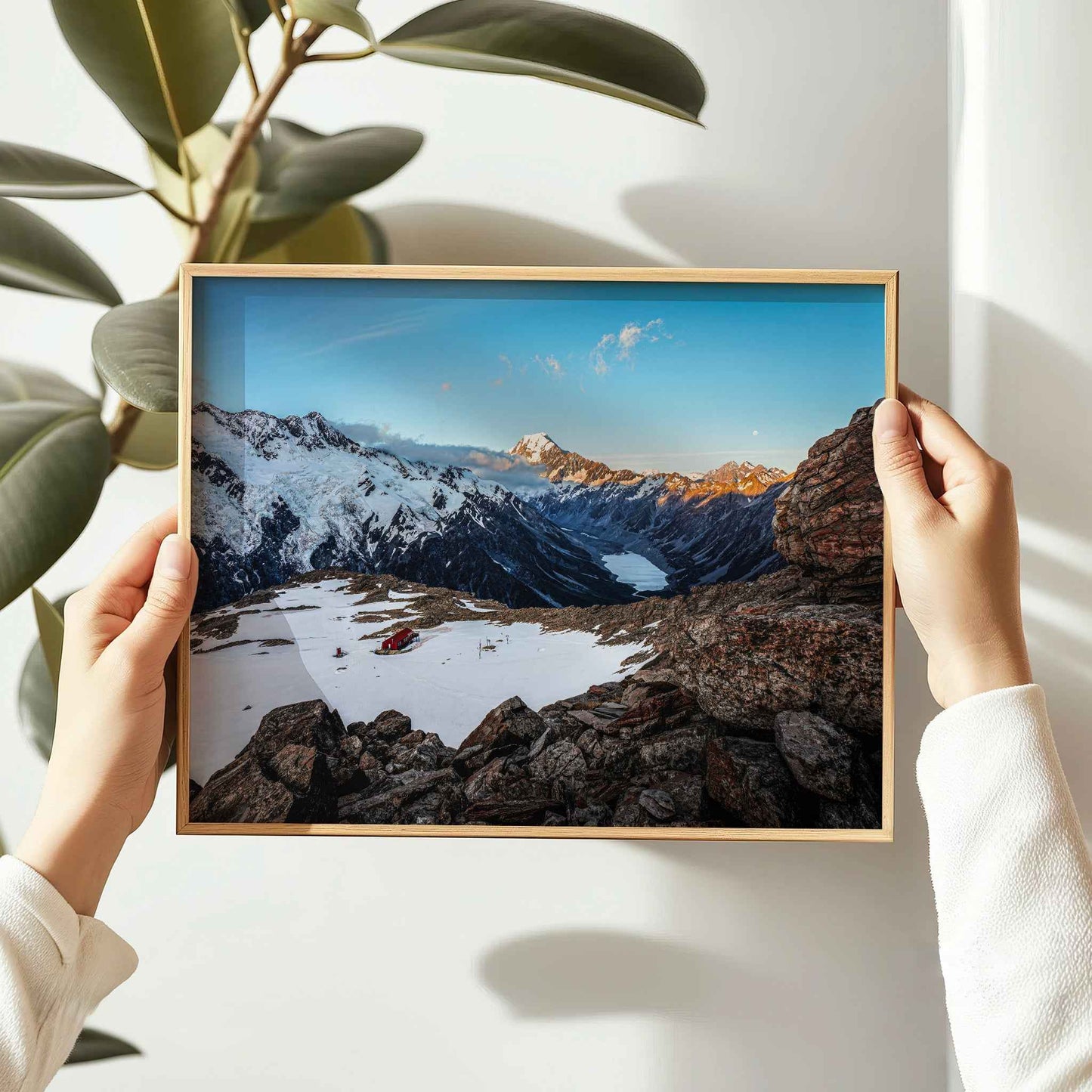 Hands holding framed Mueller Hut Mount Cook National Park photography print in natural oak frame beside indoor plant