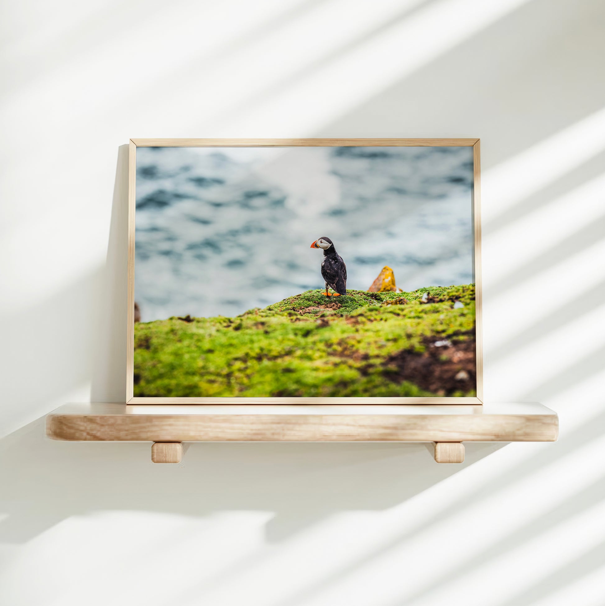Puffin print resting on a bed with sunlight filtering through curtains