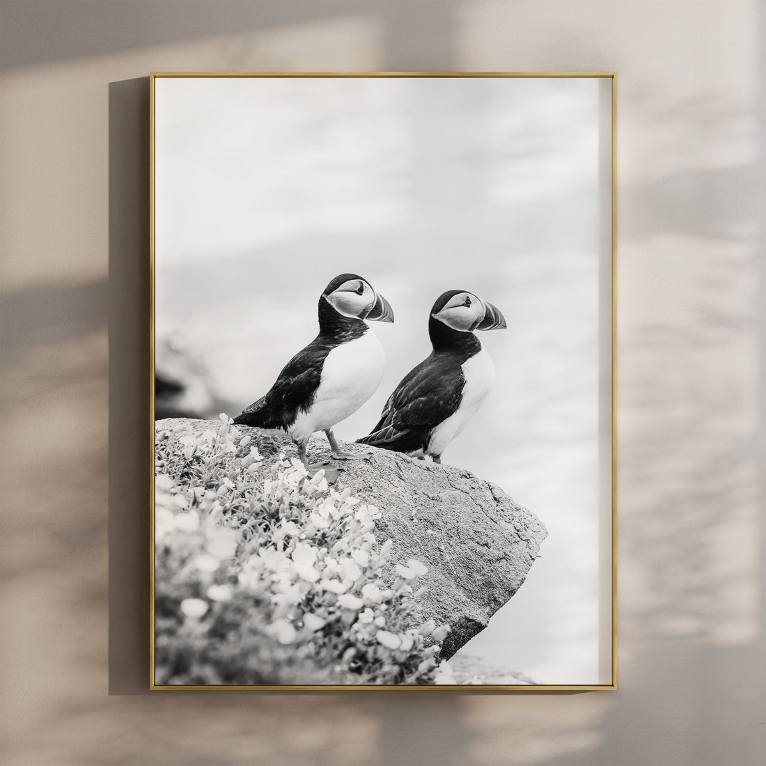 Black and white photo print of two puffins on a cliff in Ireland.