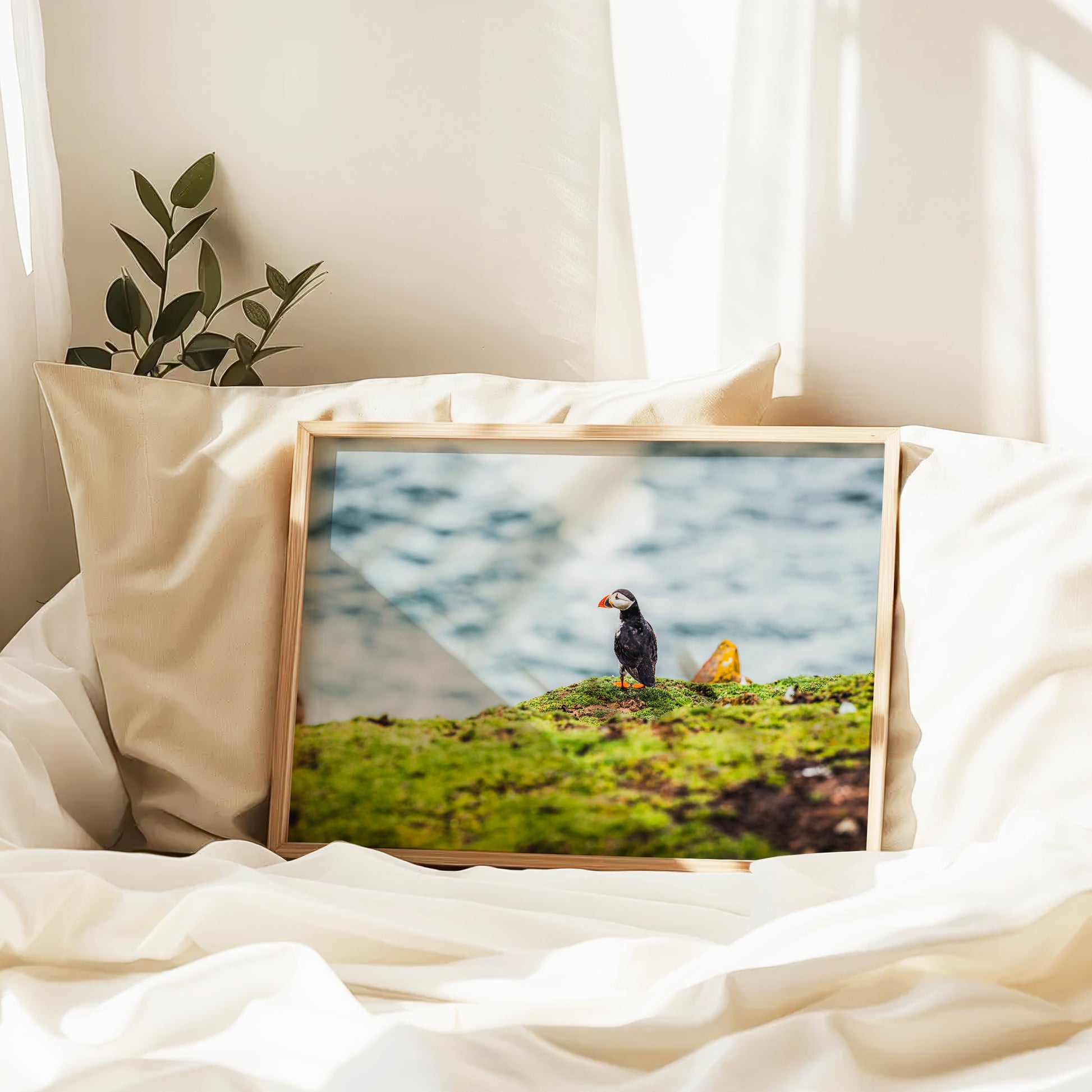 Puffin photo print displayed on a bookshelf with books and plants