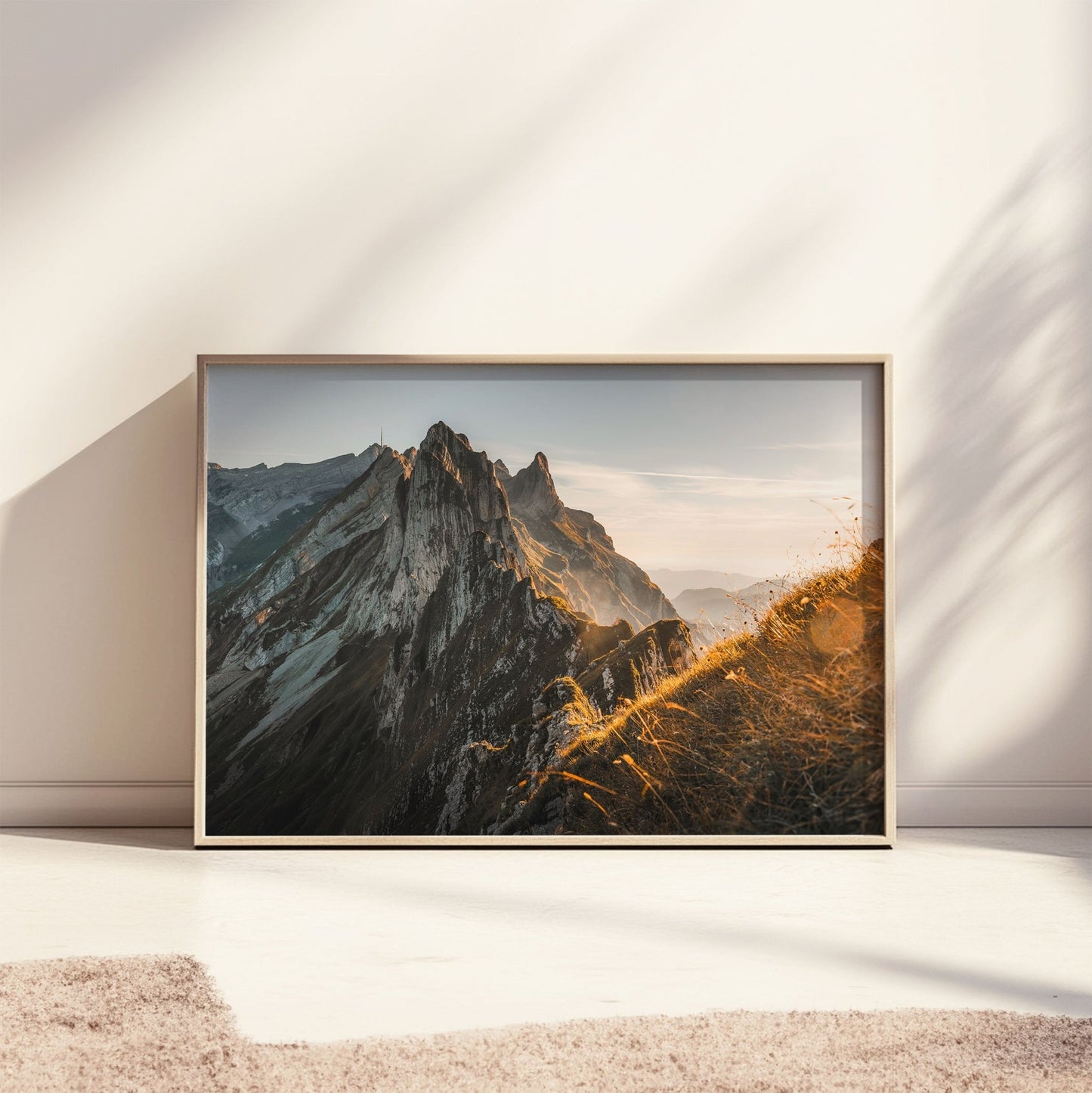 Golden grass and Schafler's rocky peaks illuminated by warm evening light in Appenzell, Switzerland.